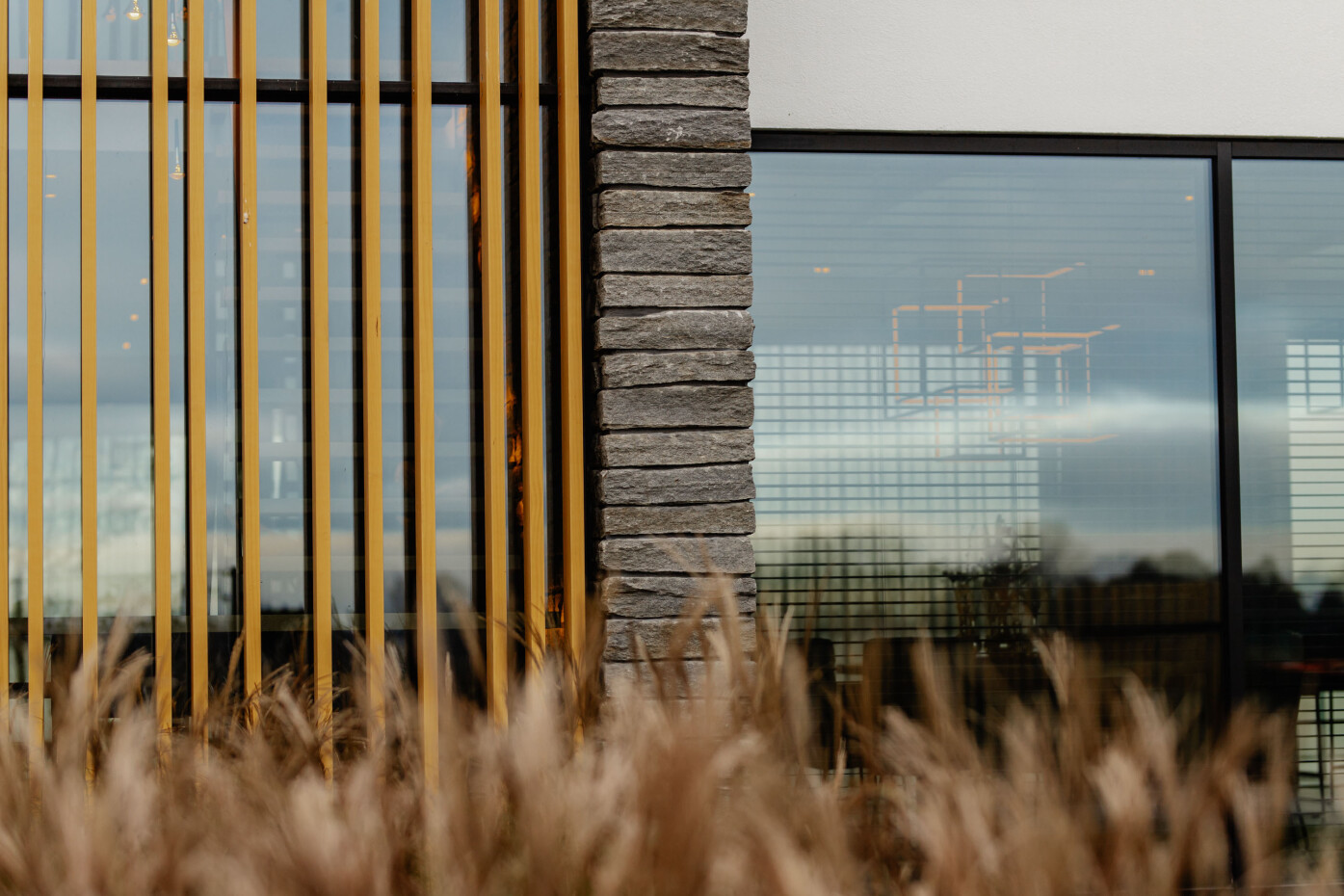 Mattone - Nieuwkoopse Plassen -123