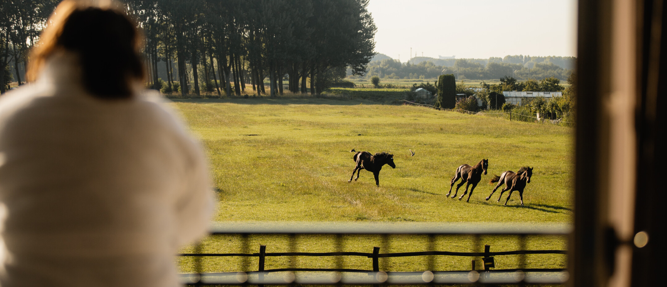 landelijke-villa-Heerjansdam-k