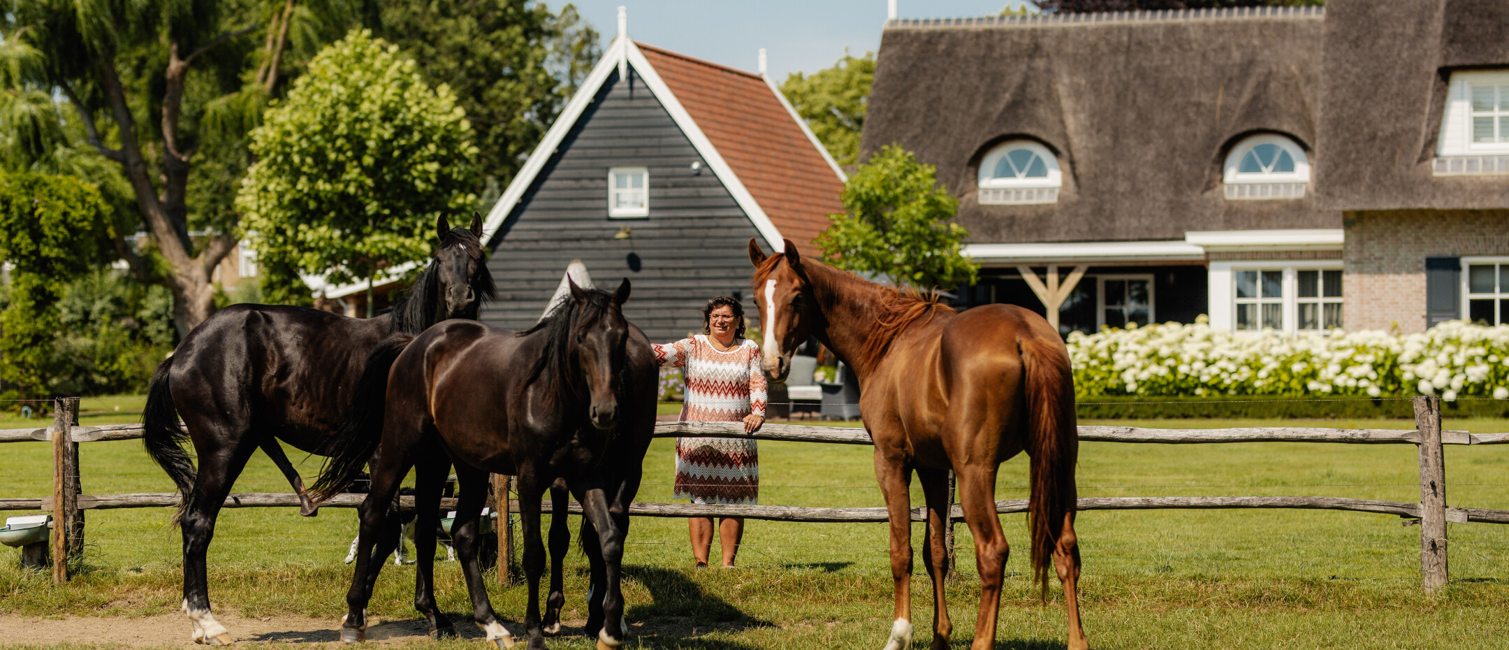 Mattone - Molenwei 4 - 09