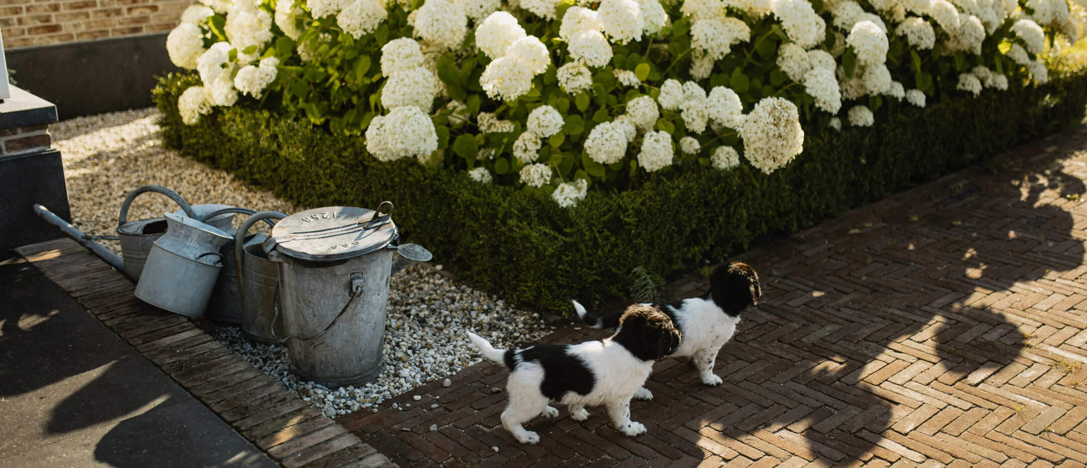 landelijke-villa-Heerjansdam-l