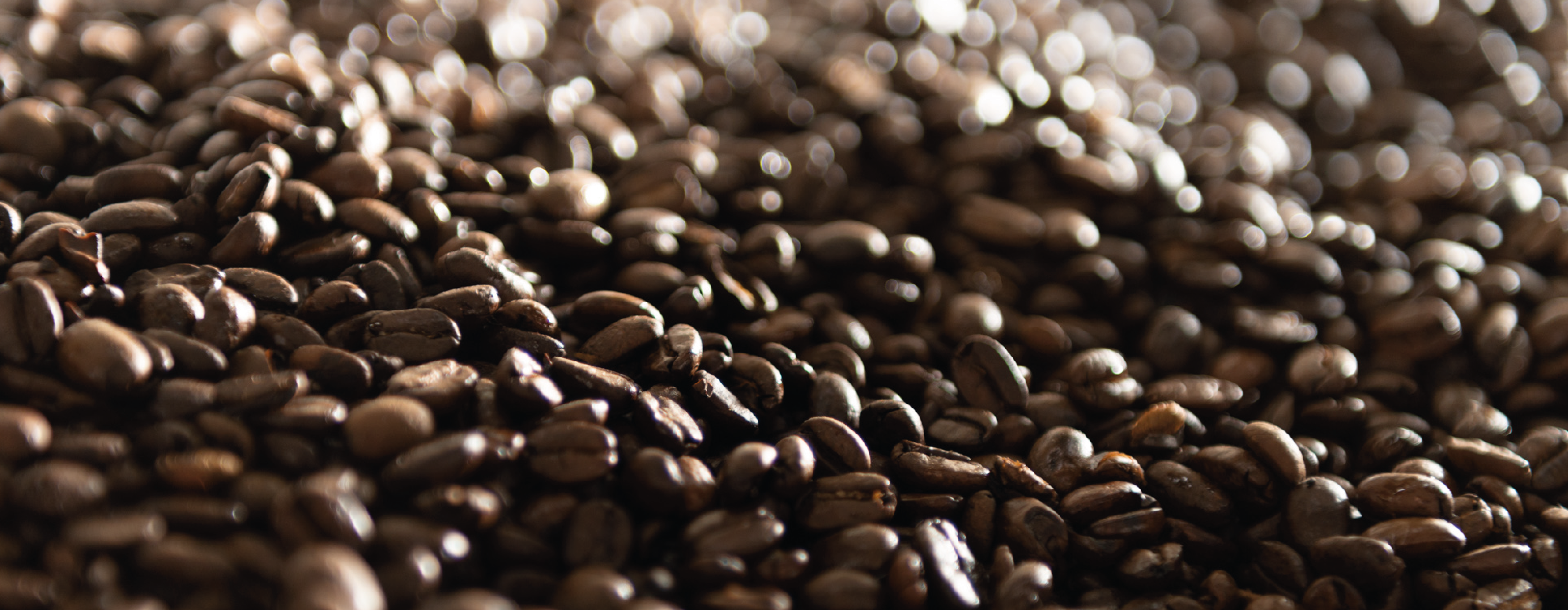 Koffiebonen Mocca d'Or