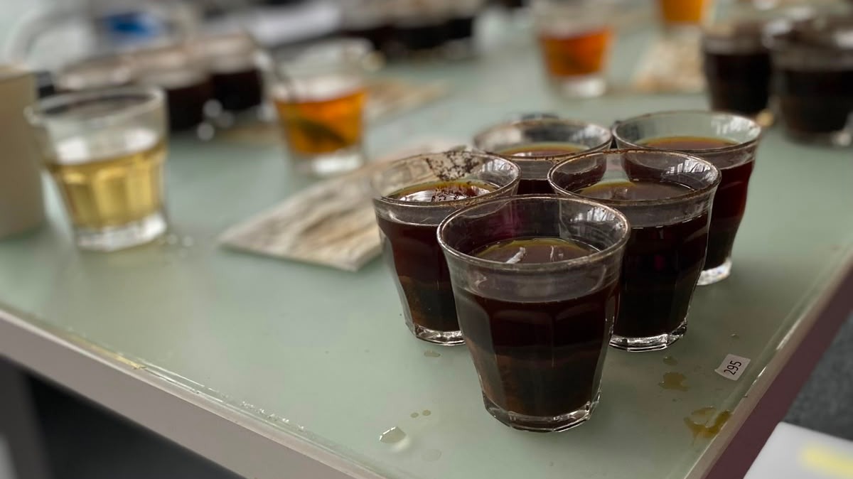 Canephora koffies