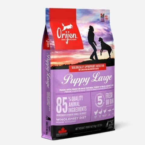 ORIJEN Puppy Large Breed