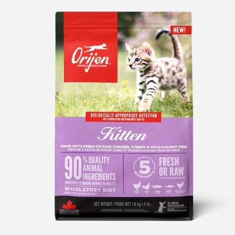 ORIJEN Kitten