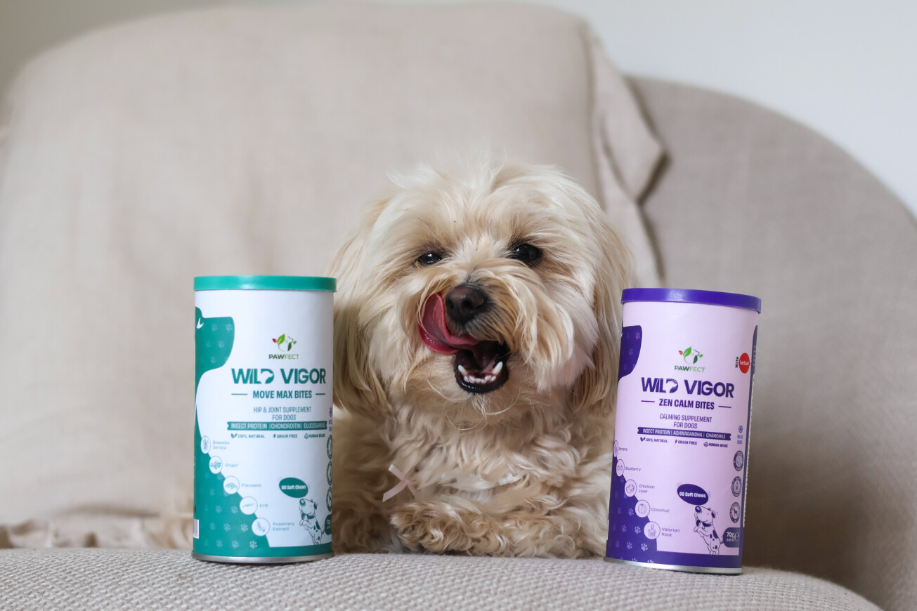 Welke supplementen heeft jouw hond nodig? Kies bewust met Pawfect