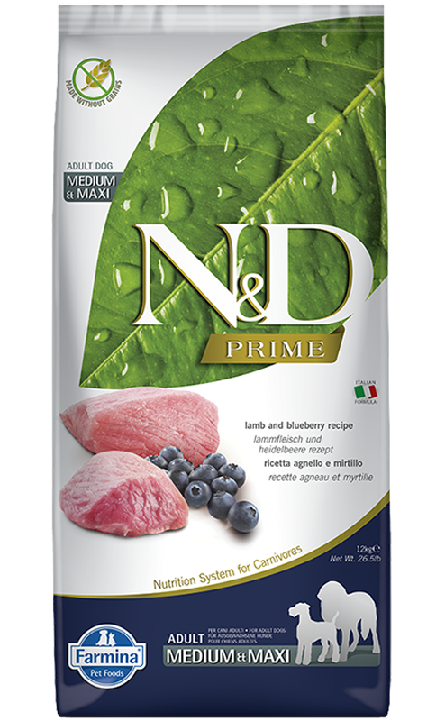 Nourriture pour chats