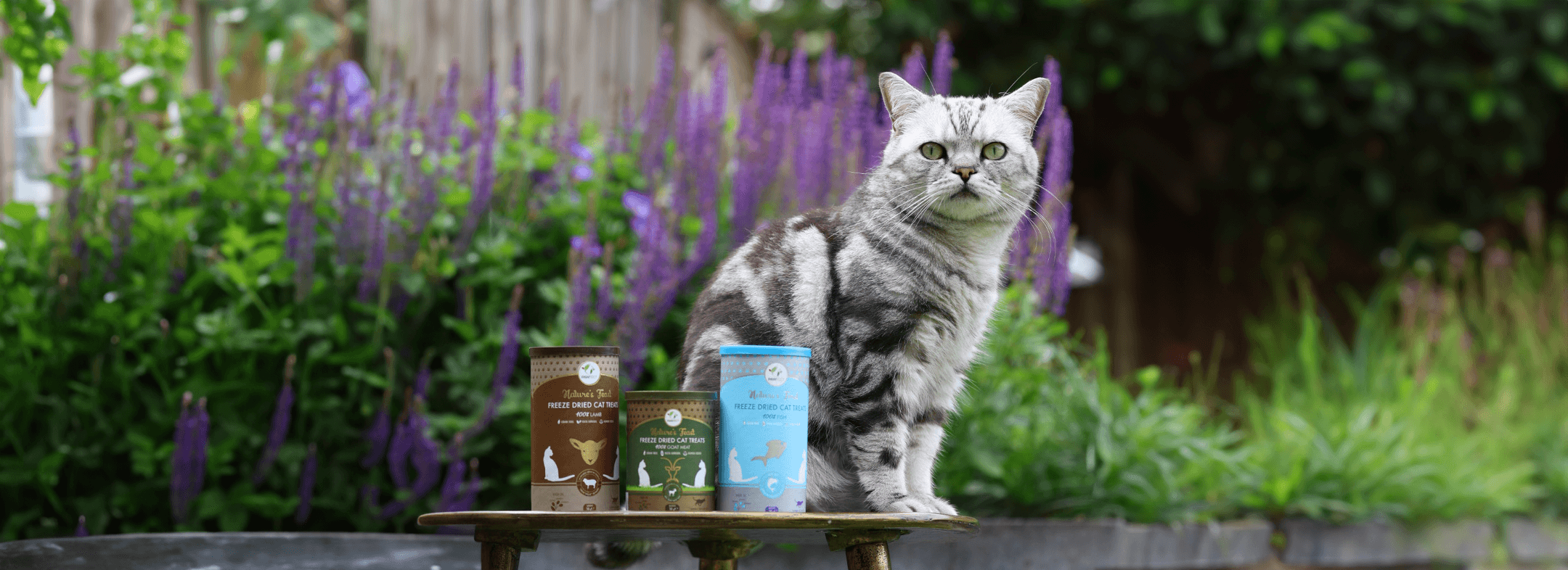 gevriesdroogde kattensnacks Pawfect