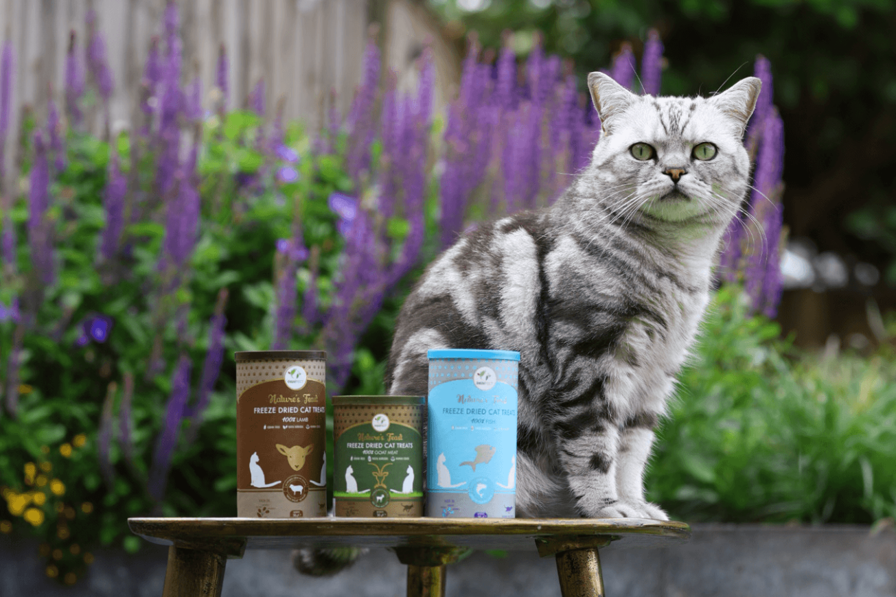 Ontdek waarom katten dol zijn op gevriesdroogde snacks
