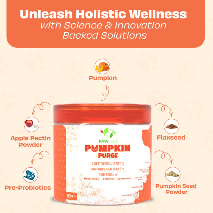 Buddy Probiotic Hundesnack