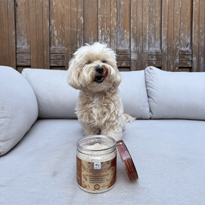 pawfect mealtoppers voor hondenvoeding nutterly vital