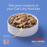 Churu Meal Topper