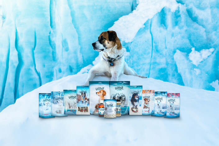 Snack probiotique pour chiens Buddy