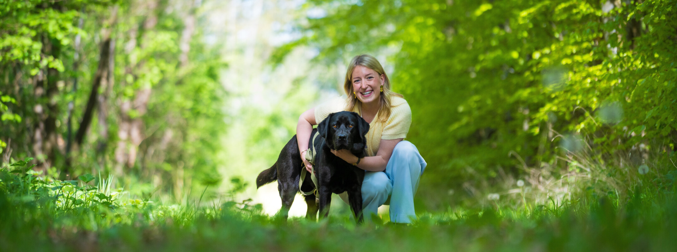 Chien couché sur le sol avec des yeux interrogateurs