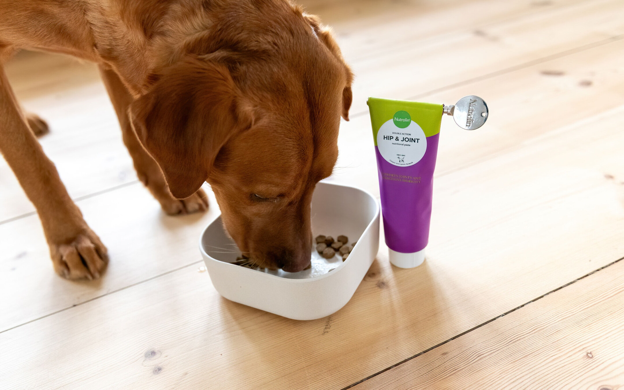 Nutrolin Fischölergänzungen für Hunde und Katzen