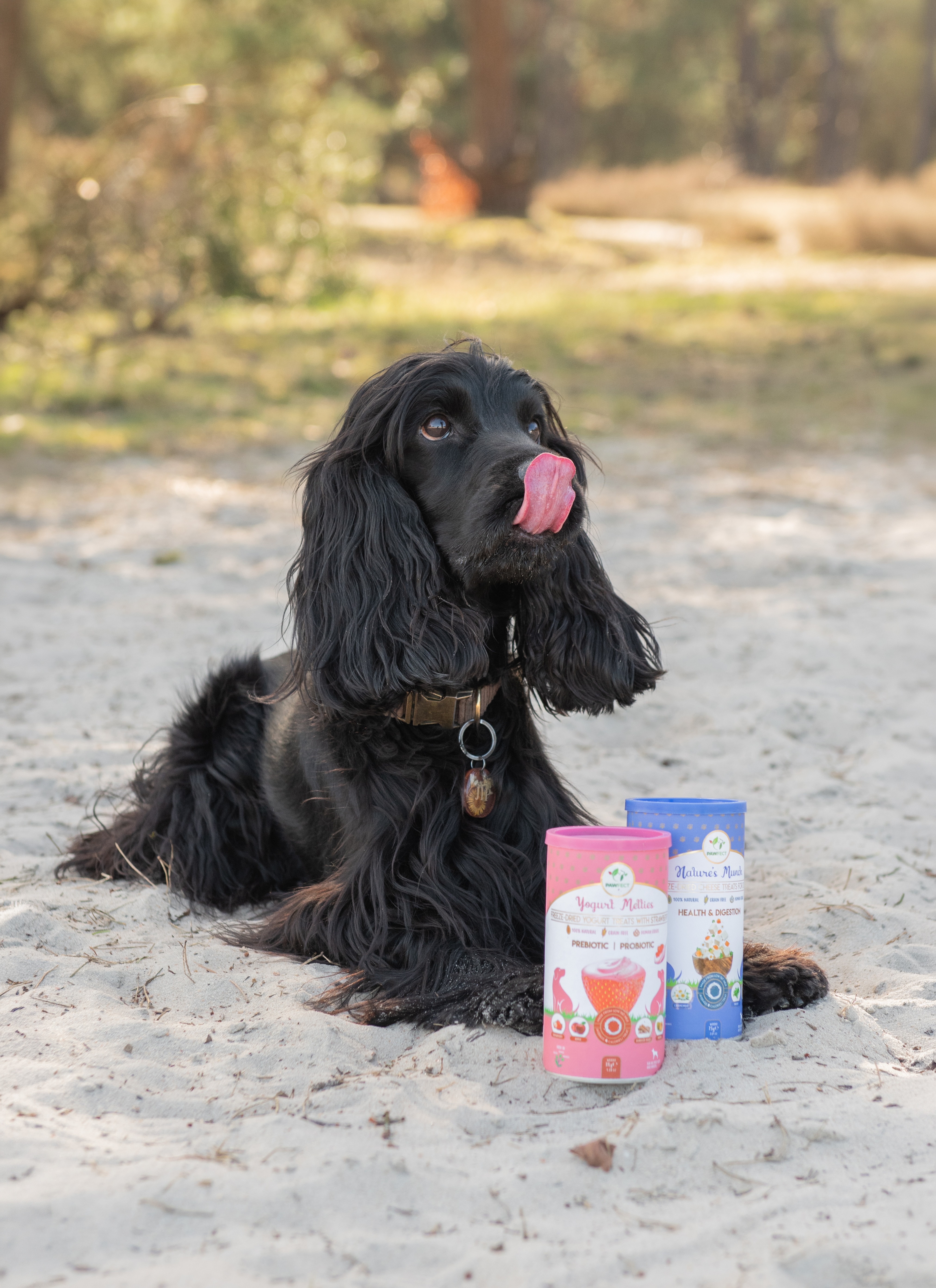 Natuurlijke low-calorie snacks voor honden