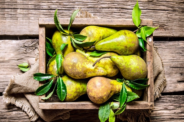 La poire : le fruit sucré aux multiples variétés