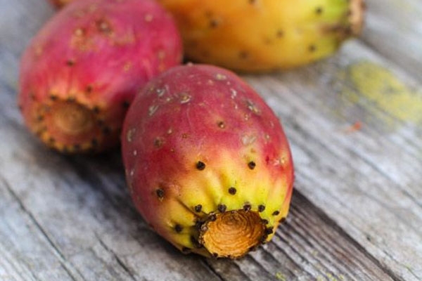La figue de Barbarie sort ses griffes : connaissez-vous ce fruit ?