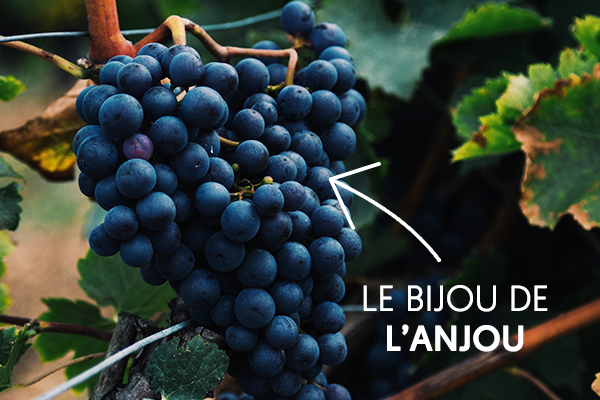 Au cœur de l'Anjou, le Château Soucherie