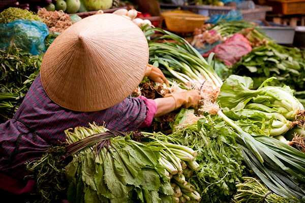Cuisine asiatique : à la découverte des aliments emblématiques