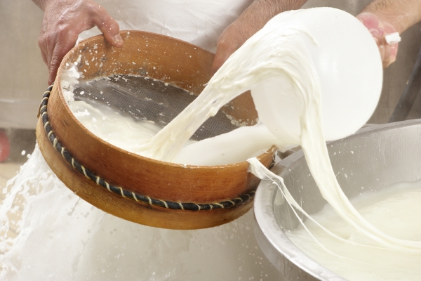 Ce que vous ne savez pas sur la mozzarella