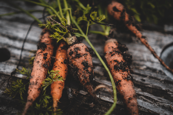 Pourquoi et comment Quitoque s'engage pour réduire le gaspillage alimentaire