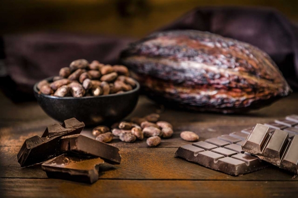 Partons à la découverte du chocolat !