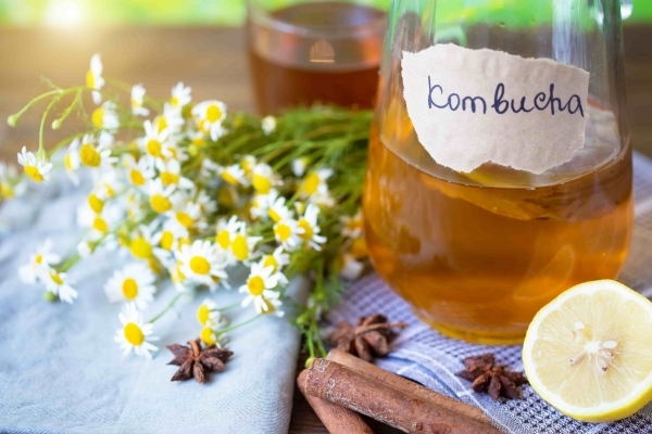Connaissez-vous les bienfaits du Kombucha ?