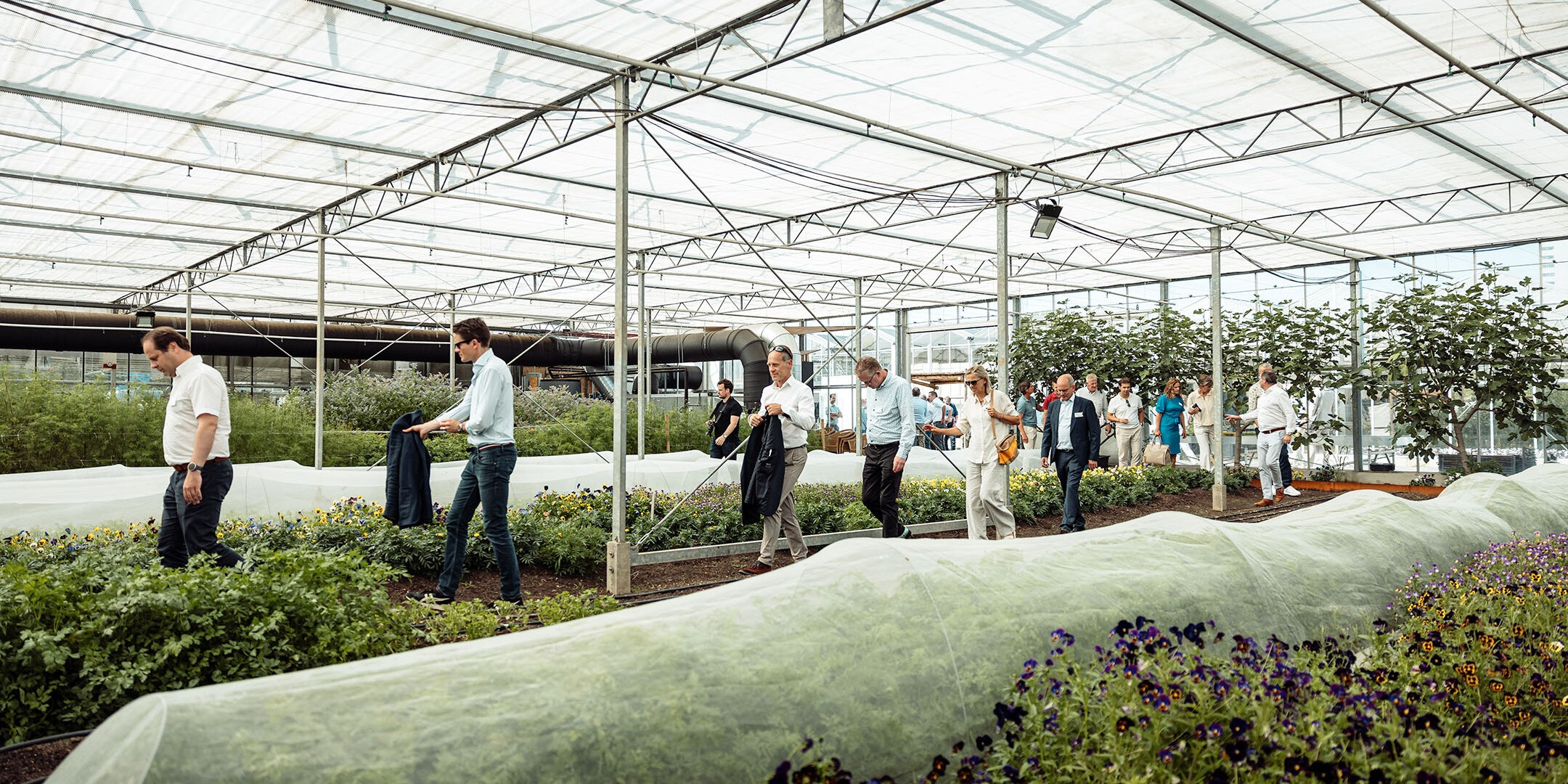 VARO Energy-klantendag-duurzaam-kassen-bezoek kassen