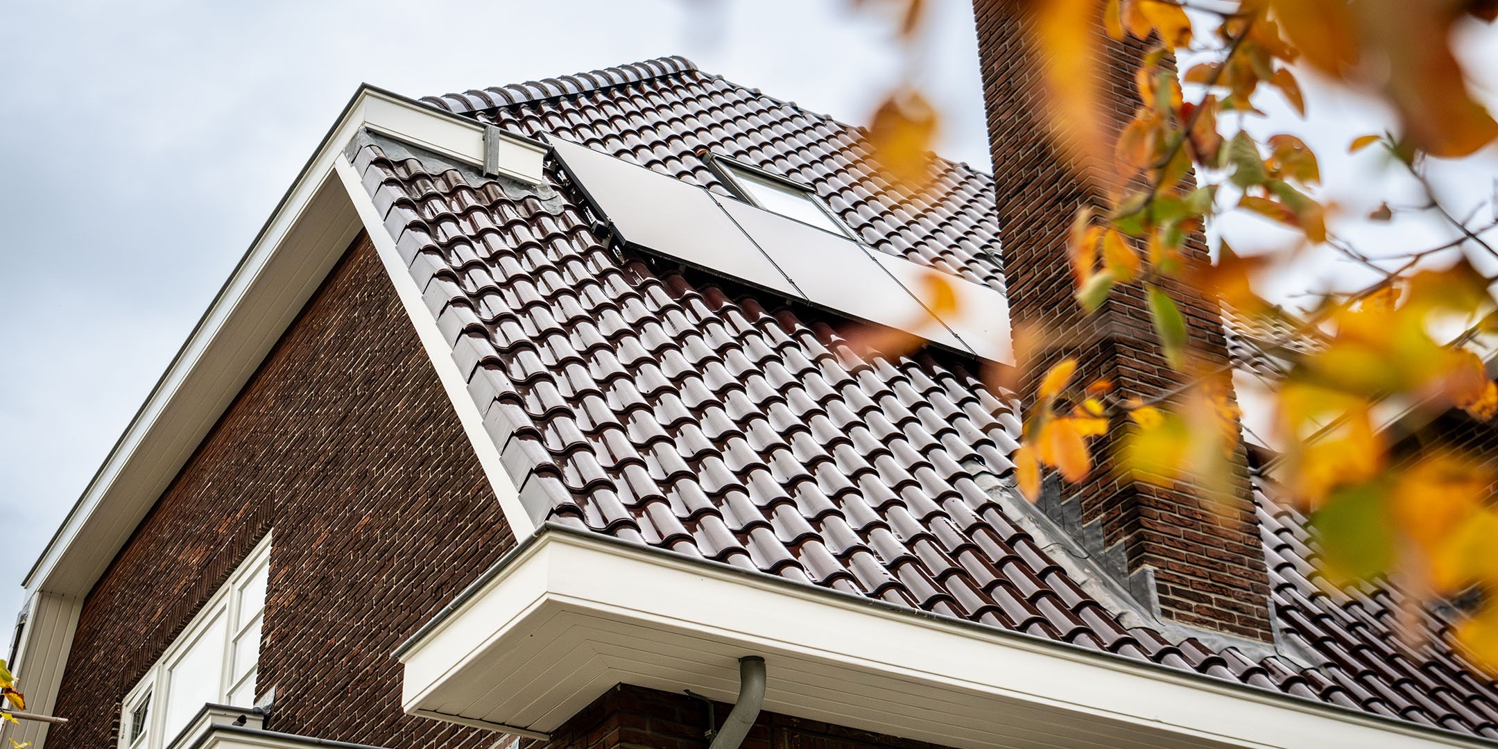 Dakrenovatie nieuwe dakpannen - rozendaal