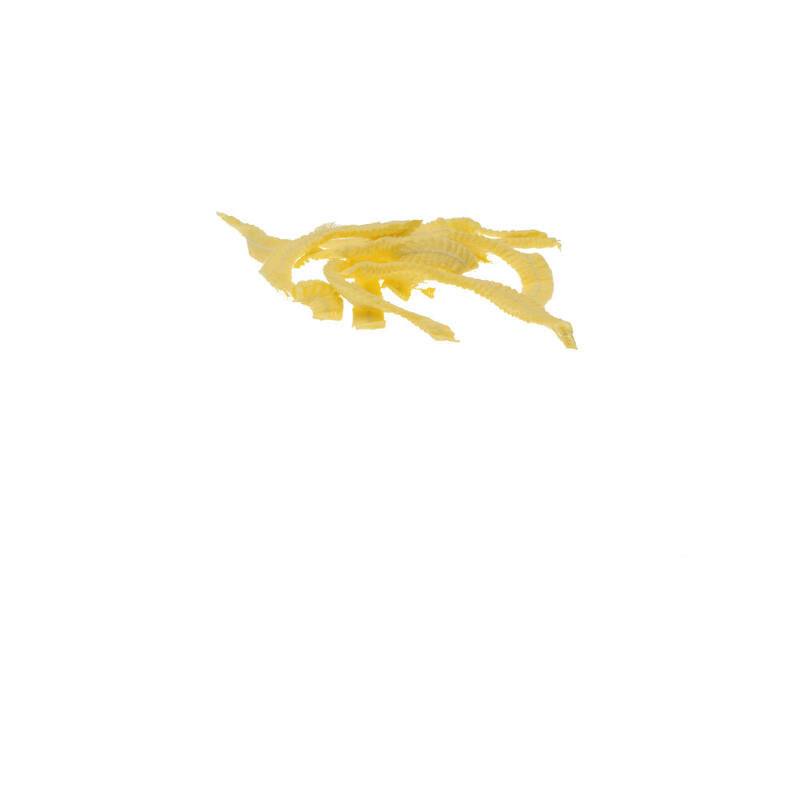 0071025_cmt-132014-clip-cap-haarnet-non-woven-pp-geel-medium-doos-1000-stuks