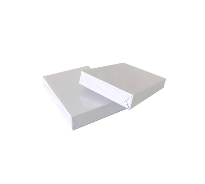 0071126_a4-printpapier-en-kopieerpapier-75-grams-doos-5x500vel