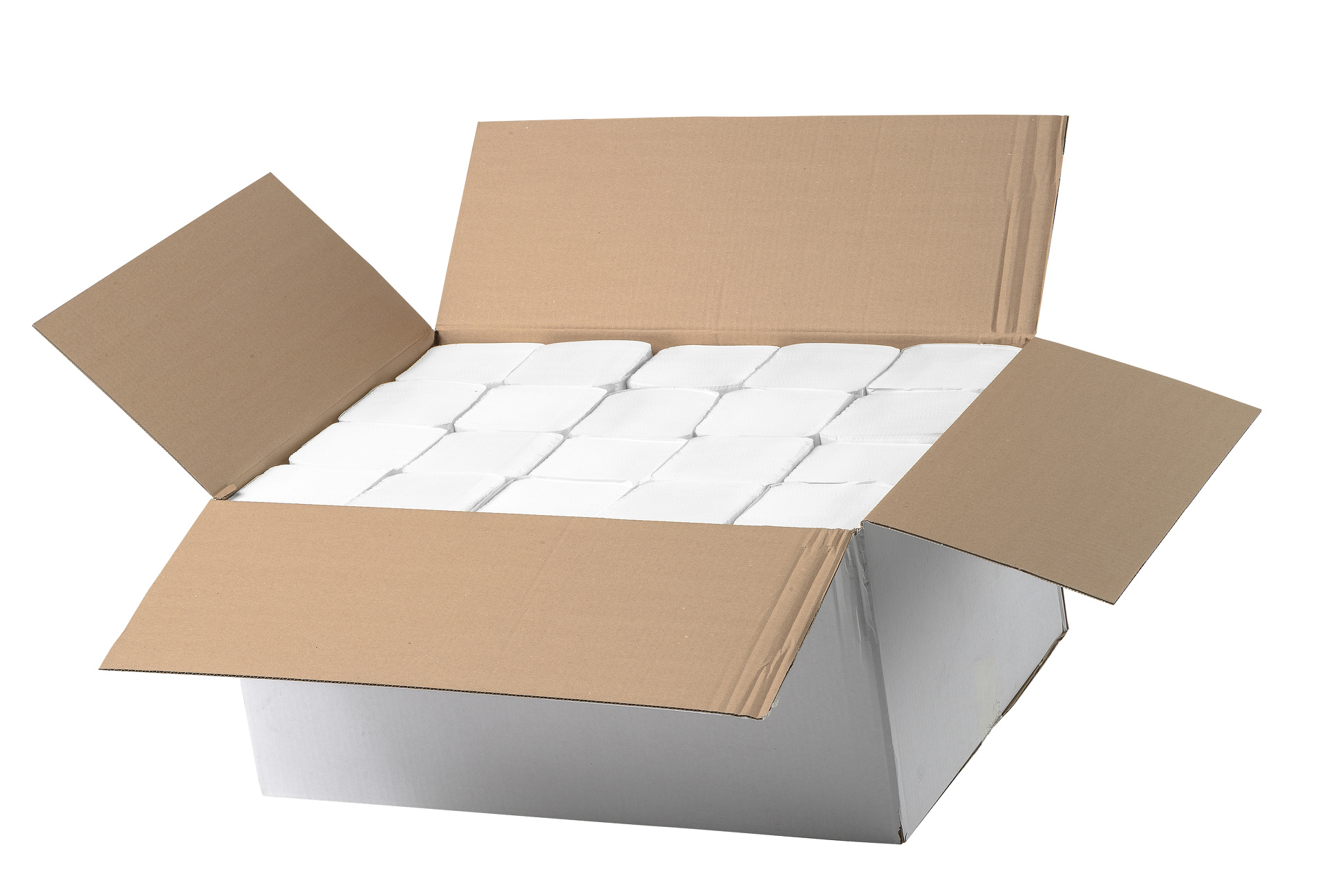 0071401_handdoekpapier-z-vouw-2-laags-cellulose-21x24-cm-3200-vel-per-doos