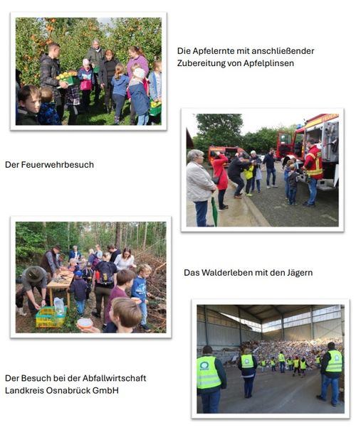 Galeriebild 0