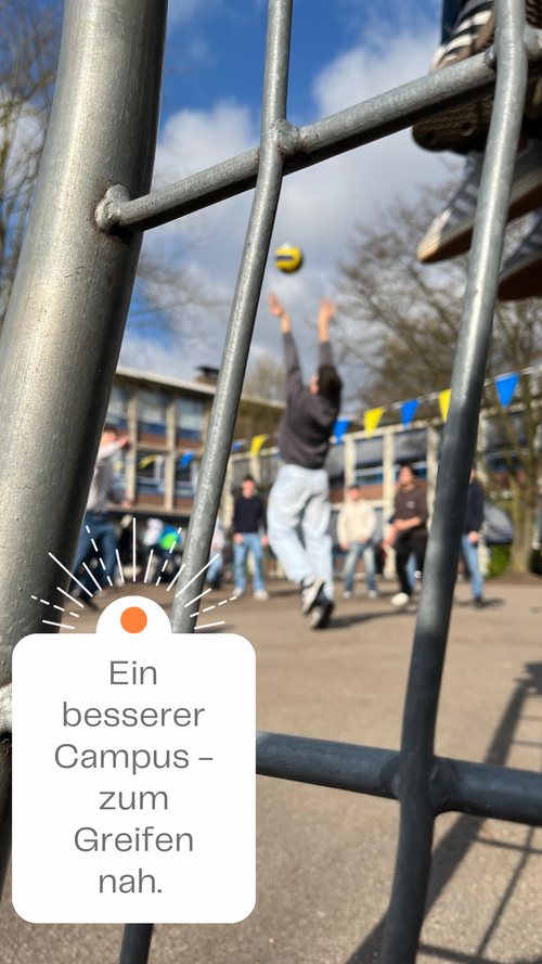 Galeriebild 4