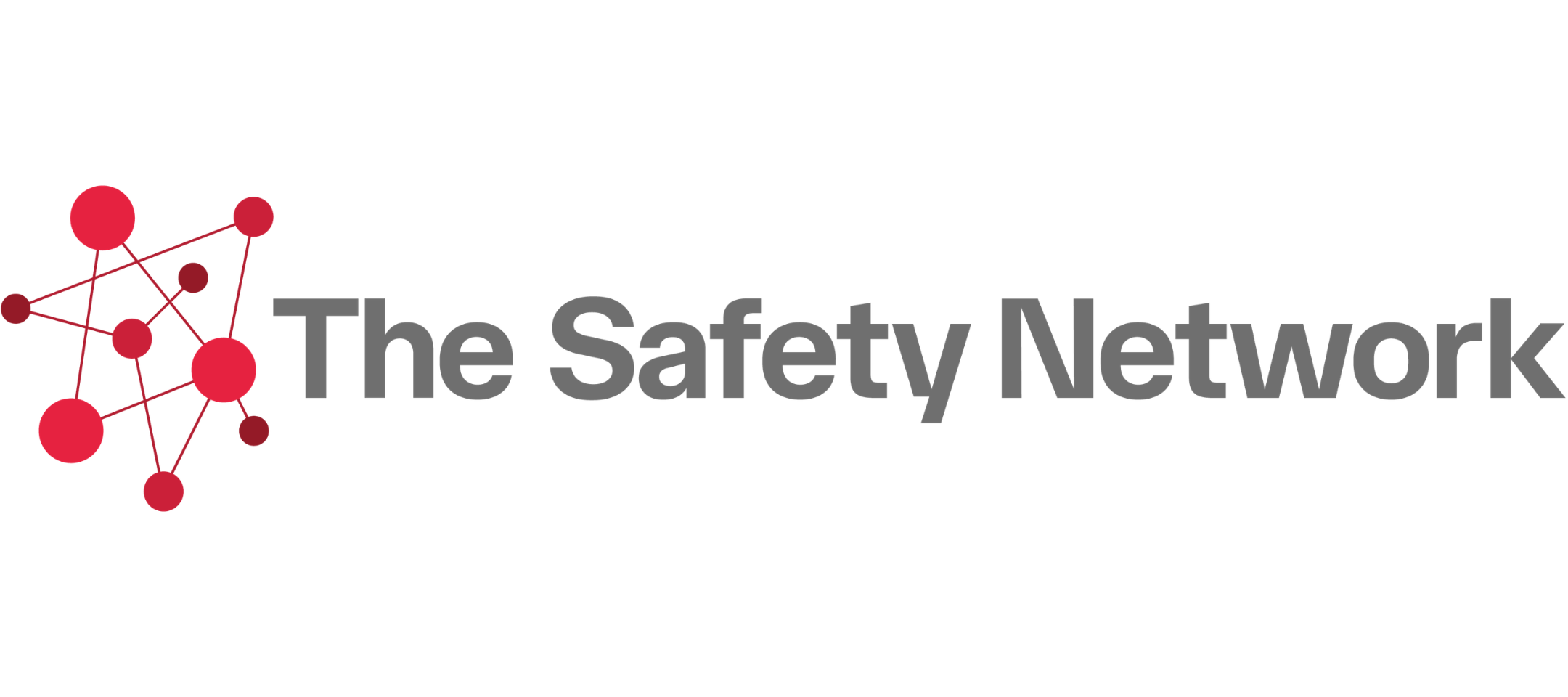 Logo The Safety Network
