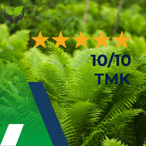 Randy Kneepkens, Veiligheidskundige