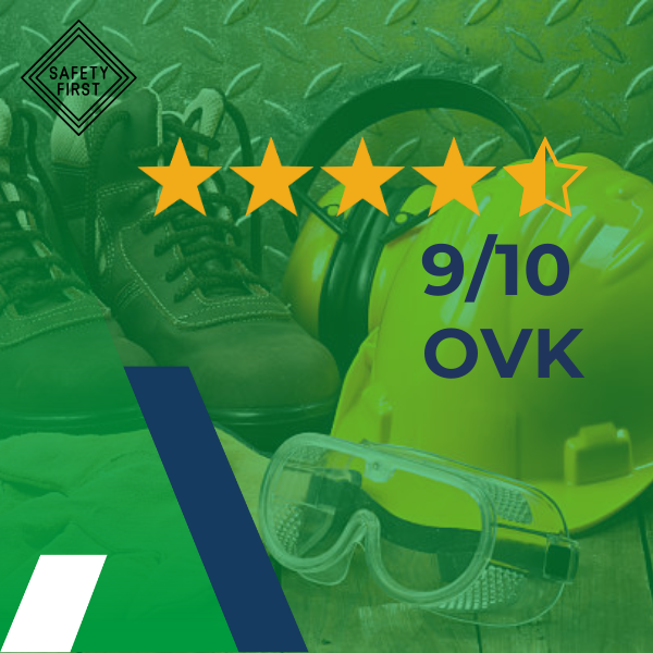 Mark de Vries, Projectorganisator