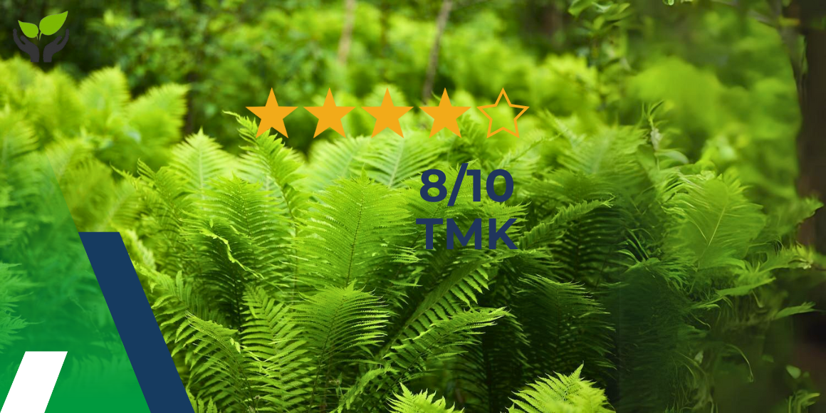 Nuwan van der Linden, KAM-Coördinator