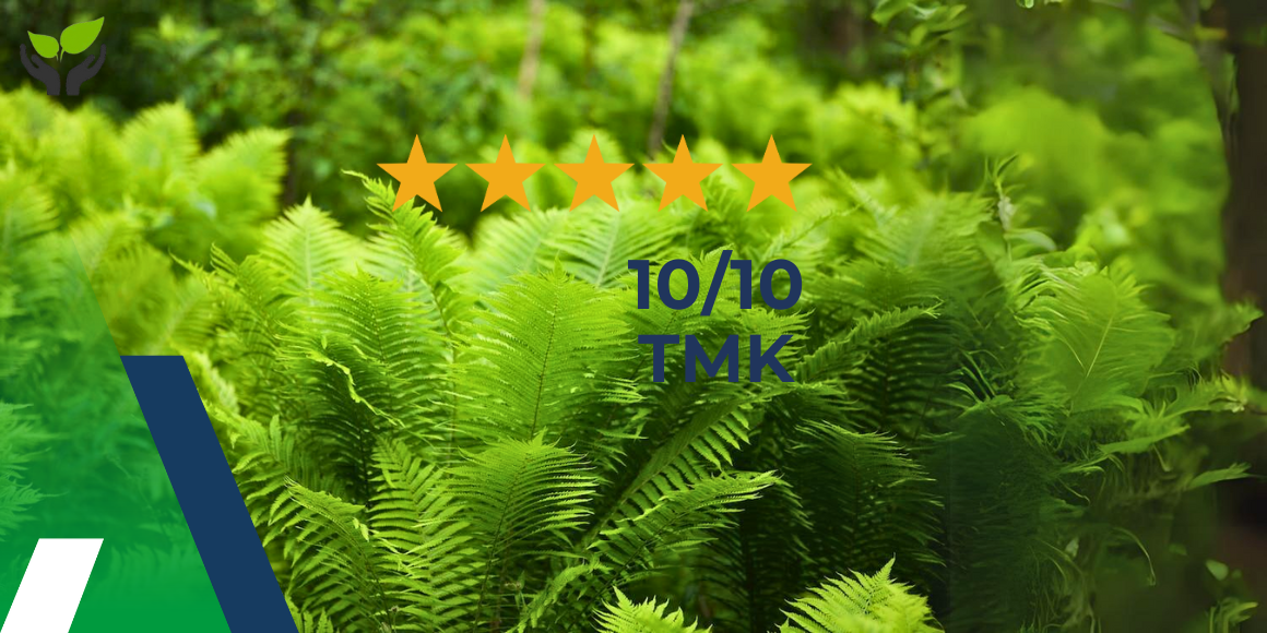 Randy Kneepkens, Veiligheidskundige