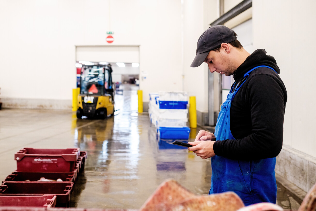 Vacature Allround Halmedewerker