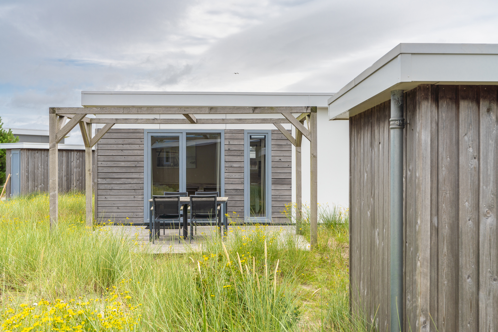 Nagtegaalfoto - Strandchalet 297 Boomhiemke -29.jpg