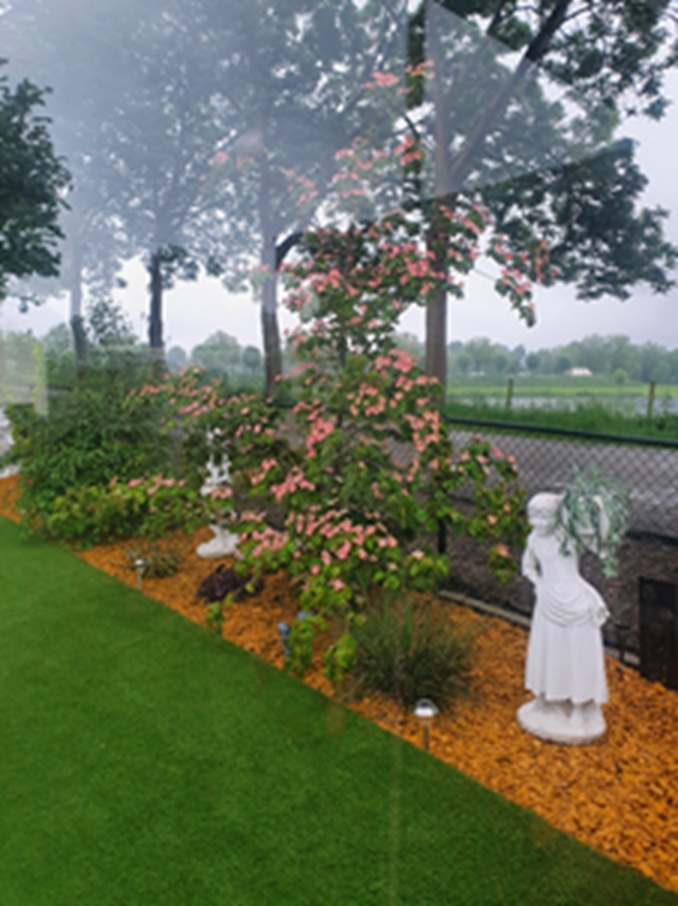 Garten 2.jpg