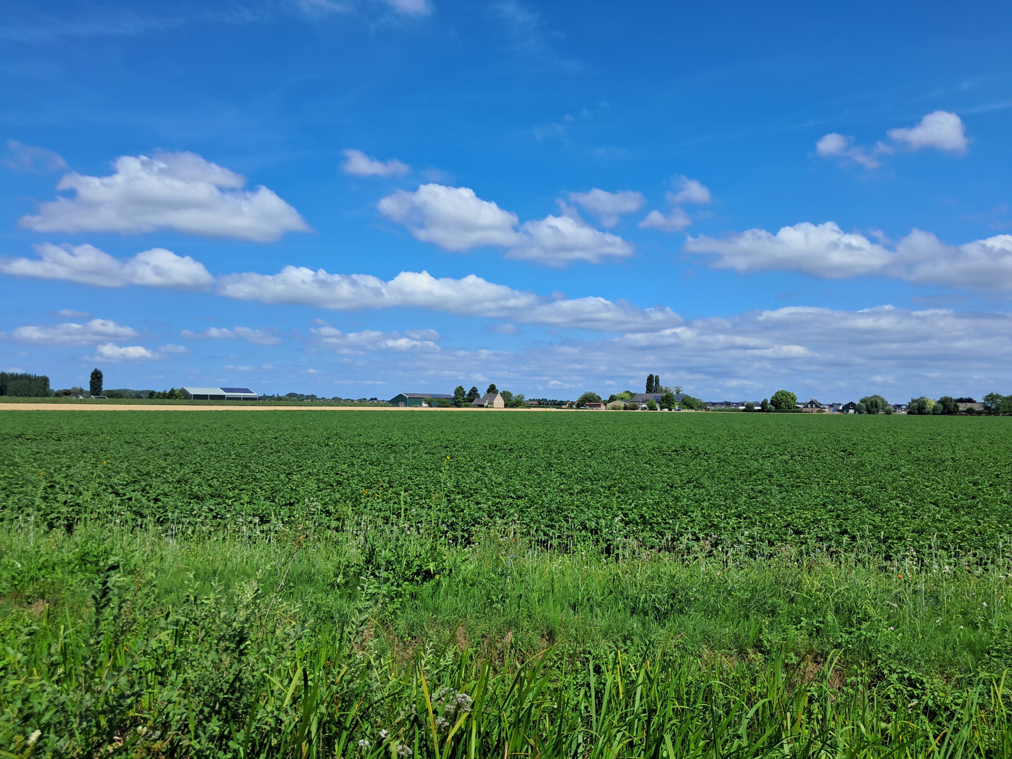 Foto RdB uitzicht omgeving.jpg