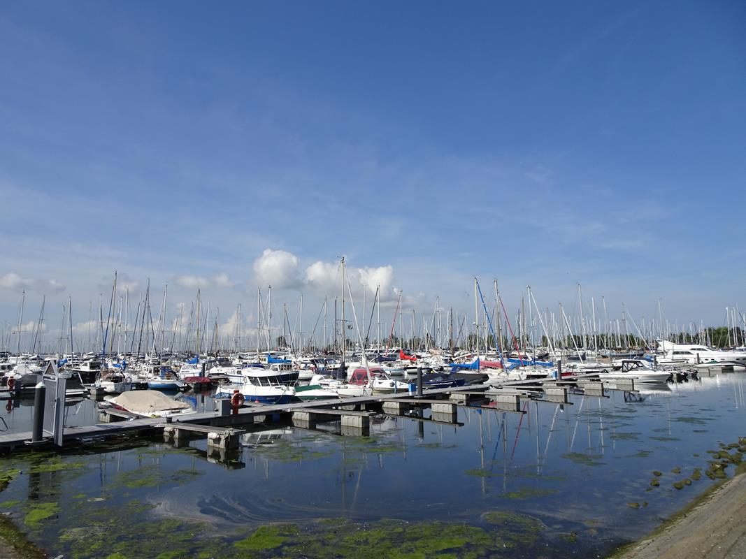 Vakantiehuis te koop Zuid Holland Hellevoetsluis Roompot park Cape Helius (10).jpg