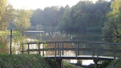 Nationaal park de Peel 4.jpg