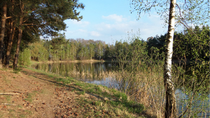 Nationaal park de Peel 6.jpg