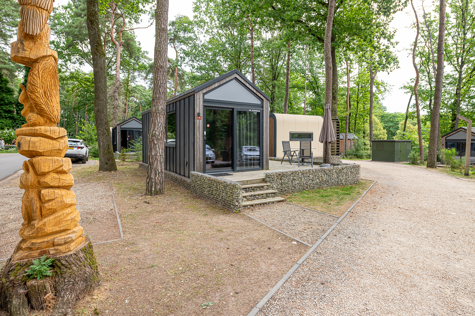 EZ8_4728 WFSEL Europarcs Hoge Kempen C16 7-2026 WEBFORMAAT.jpg