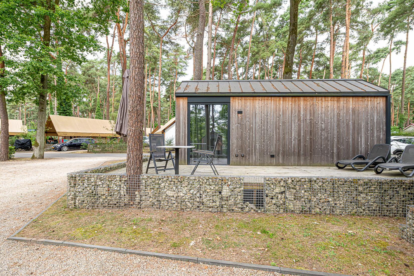 EZ8_4734 WFSEL Europarcs Hoge Kempen C16 7-2026 WEBFORMAAT.jpg