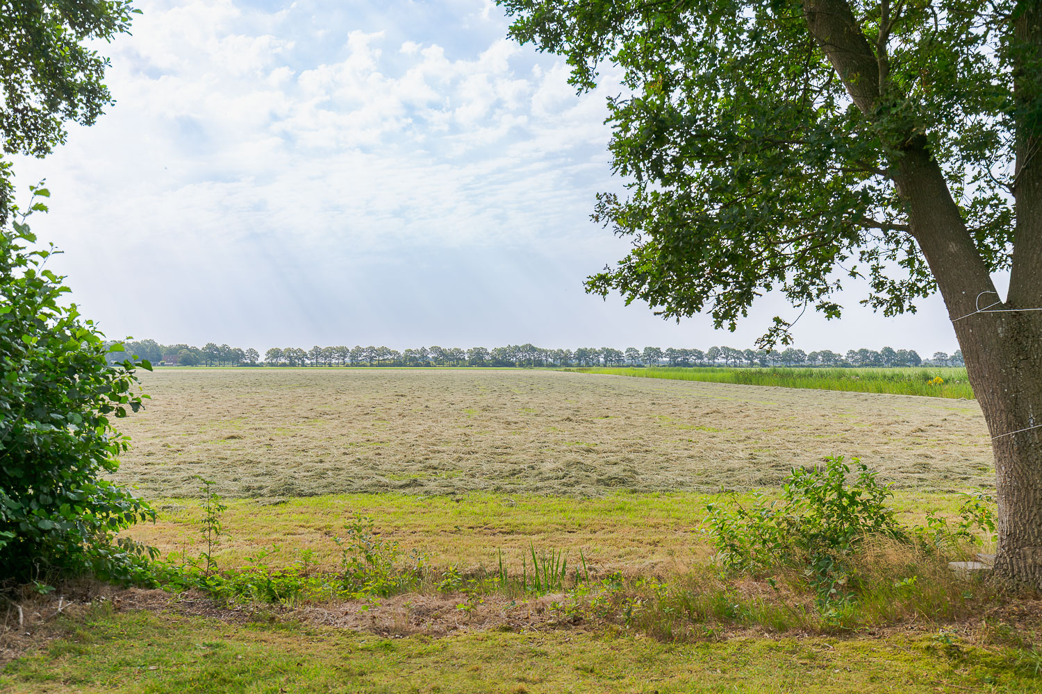 22_3007_AvV_buienplaats_fochteloerveen_87_5101-webformaat.jpg