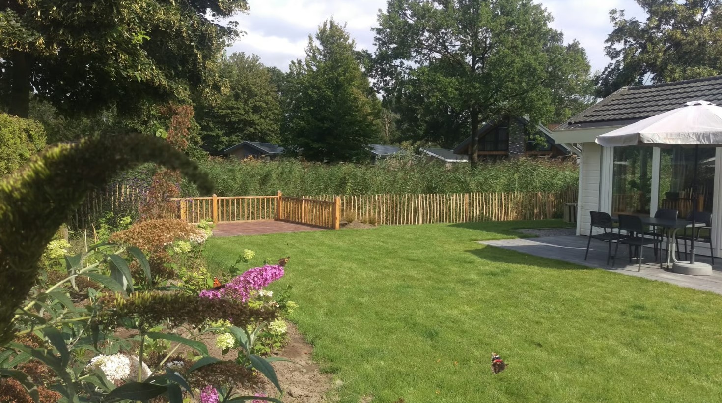 tuin.jpg